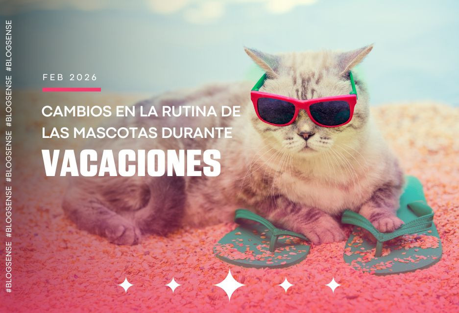 Cambios en la rutina de las mascotas durante las vacaciones